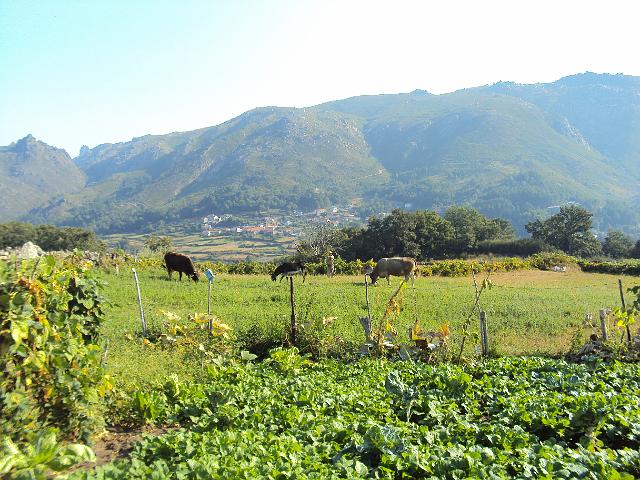 112- Paisagem.JPG